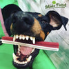 Vegan Dog Treats - Maks'Patch Vegetarian Star Sticks. 3 sizes.