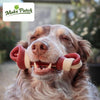 Vegan Dog Chews - Maks'Patch Knotted Bones - 2 sizes