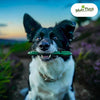 Vegan Dog Chews -  the Maks Patch 'BumpiBone'