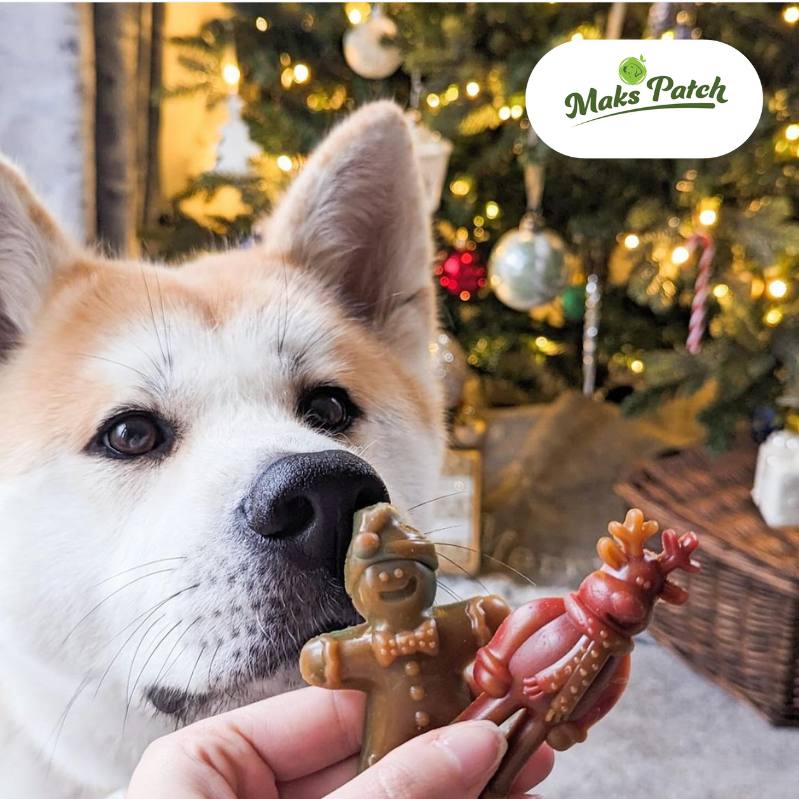 Vegetarian Dog Treats - 'Ginger & Dasher' Xmas treats