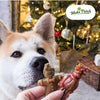 Vegetarian Dog Treats - 'Ginger & Dasher' Xmas treats