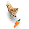 Dog looking at MaksPatch Carrot Toy