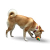 dog biting MaksPatch Rubber Dog Treat Dispenser Carrot Toy