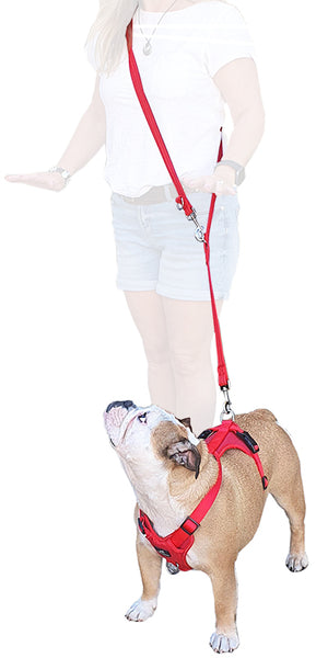 Miro & Makauri RUBBER HANDLE GRIP - Slip Dog Lead with Figure 8 Training  Aid.