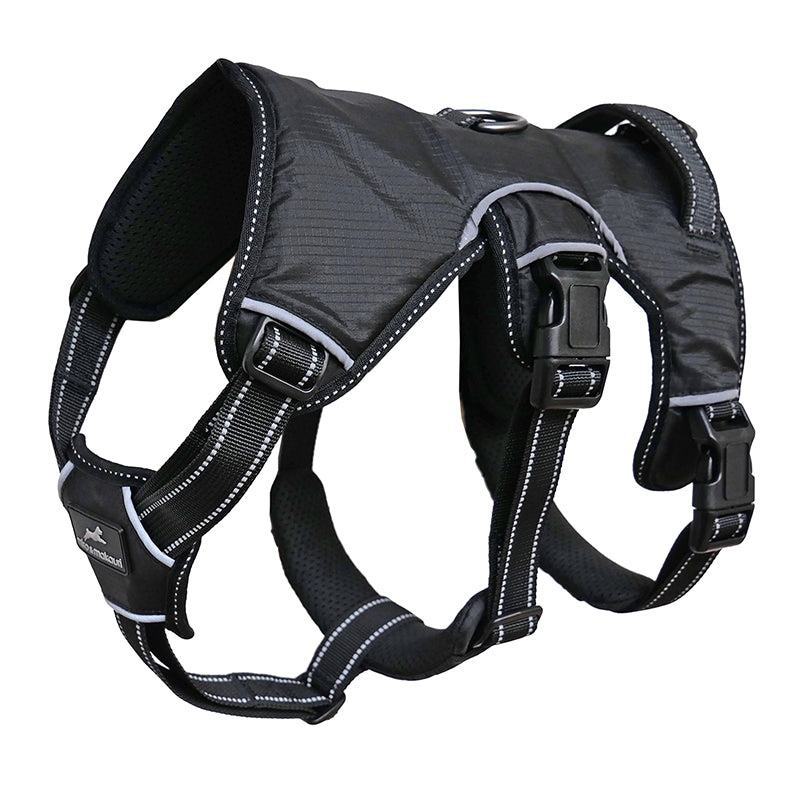 Miro and store makauri dog harness